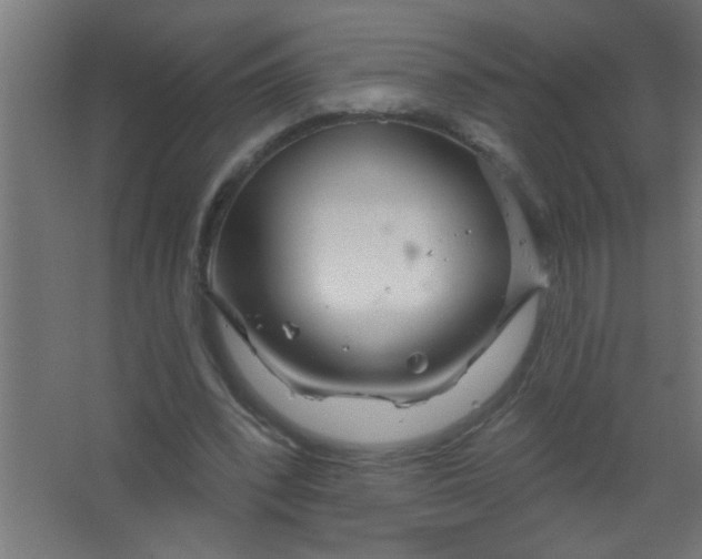 X0000067530392200604211849