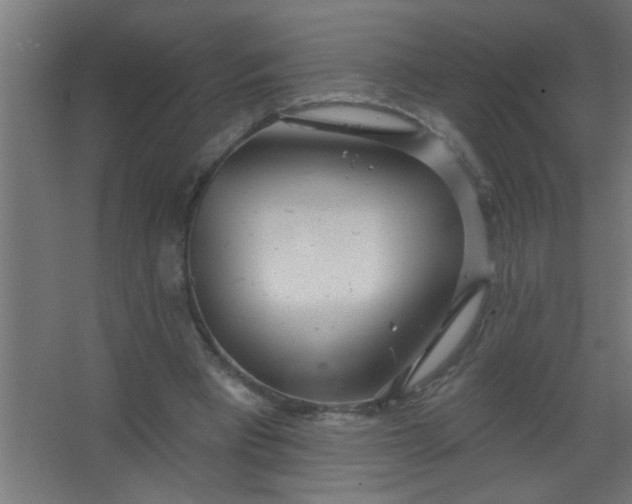 X0000067530393200604211849