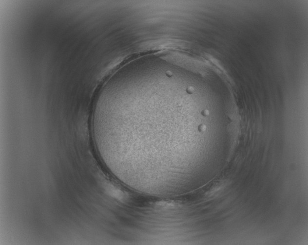 X0000067530394200604211849