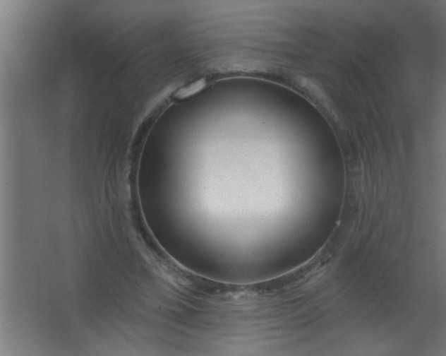 X0000067530395200604211849