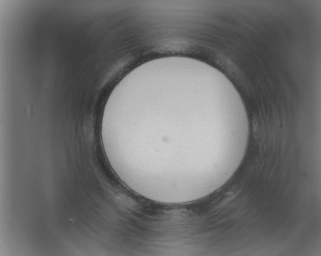 X0000067530396200604211849