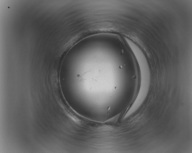 X0000067530397200604211849