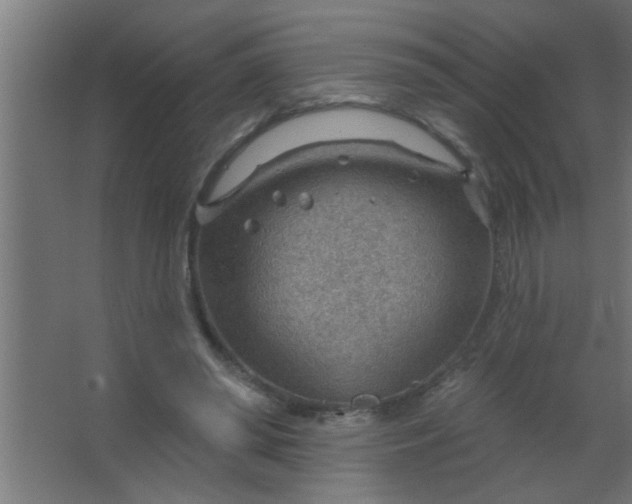 X0000067530398200604211849