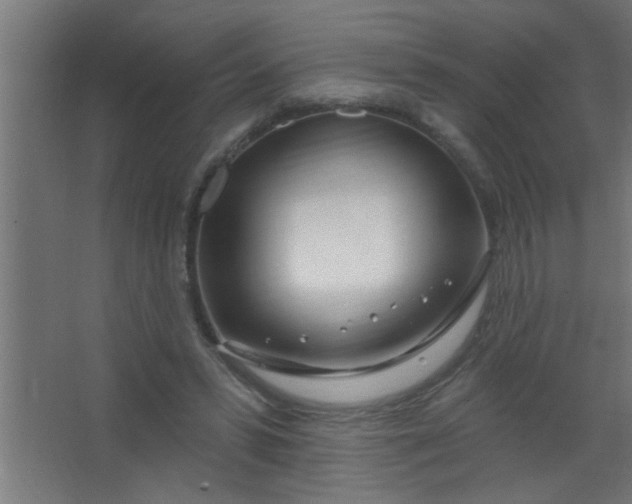 X0000067530399200604211849