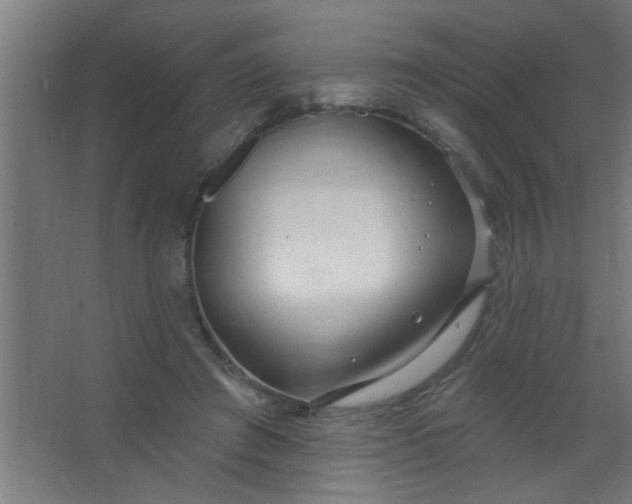 X0000067530401200604211849