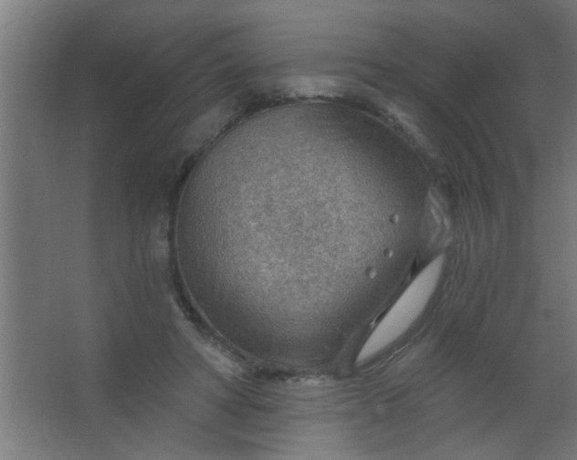 X0000067530402200604211849