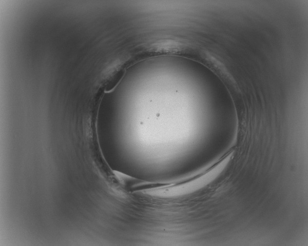 X0000067530403200604211849