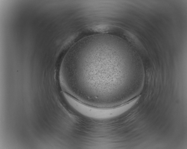 X0000067530404200604211849