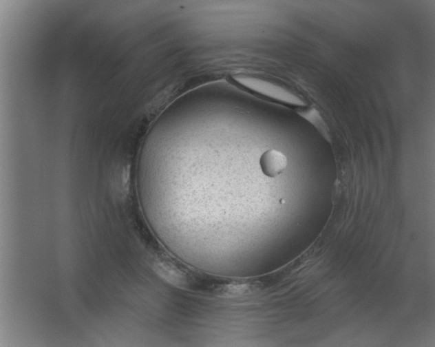 X0000067530406200604211849