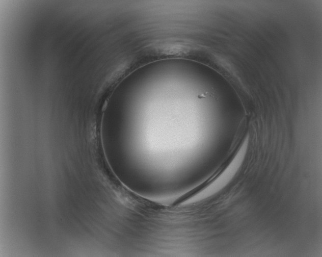 X0000067530407200604211849