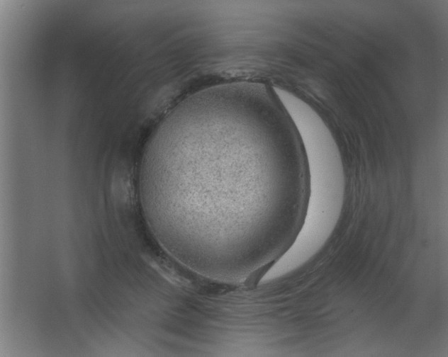 X0000067530408200604211849