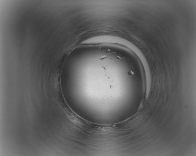 X0000067530409200604211849