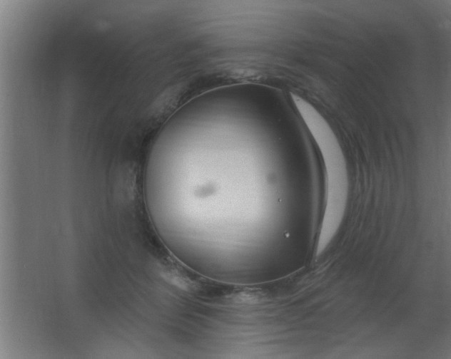 X0000067530412200604211849