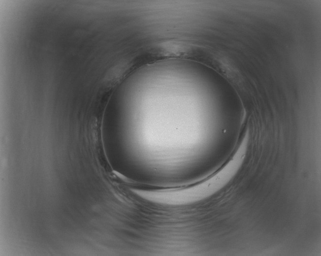 X0000067530413200604211849