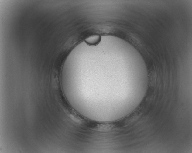 X0000067530414200604211849