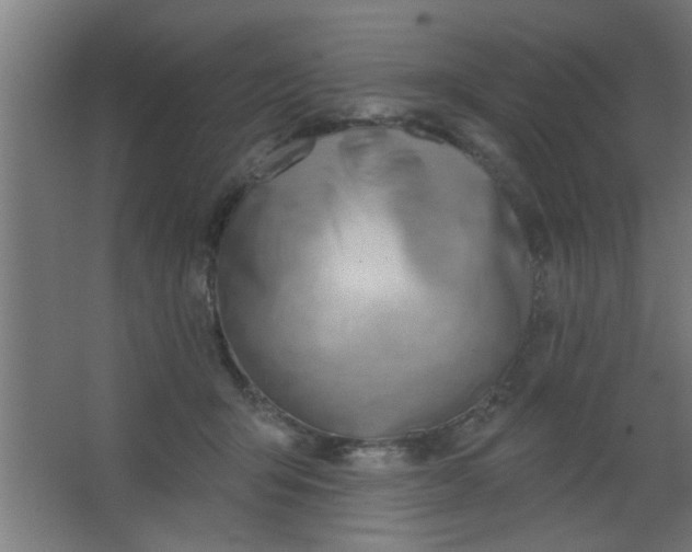 X0000067530415200604211849