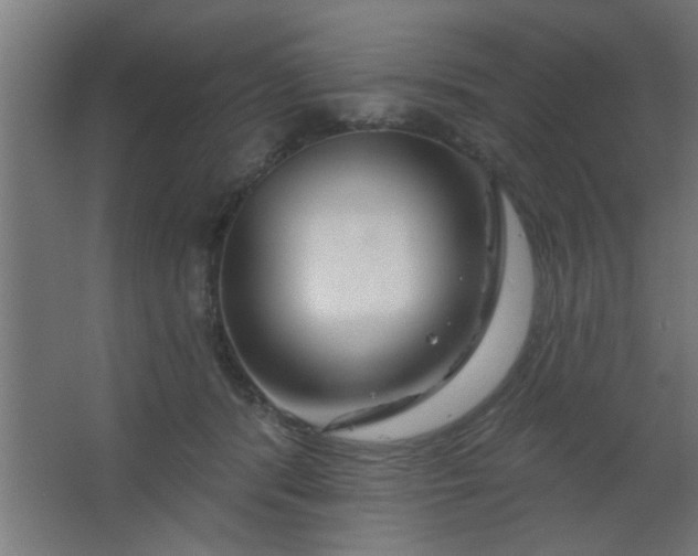 X0000067530416200604211849