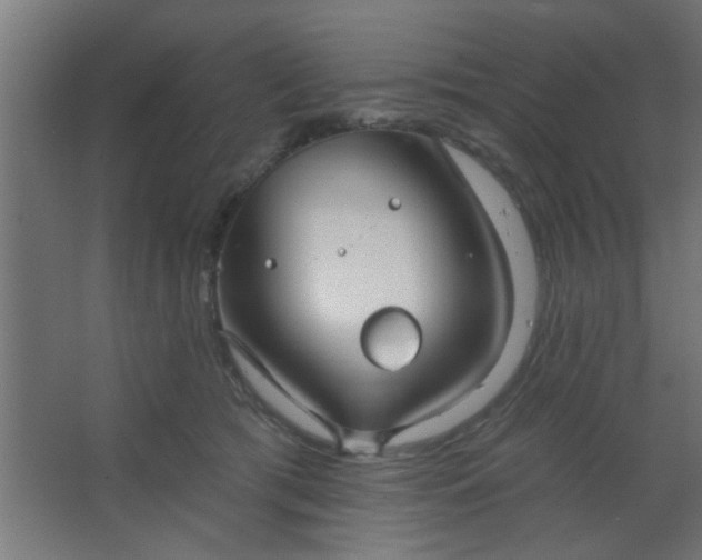 X0000067530417200604211848