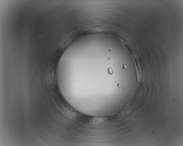 X0000067530418200604211848