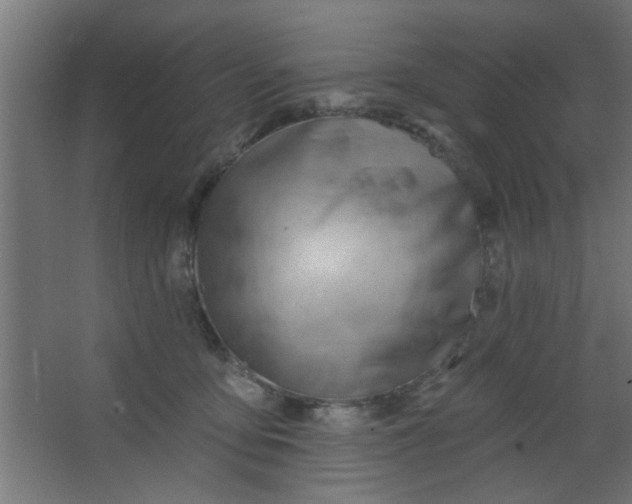 X0000067530419200604211848