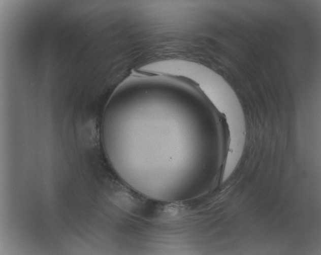 X0000067530420200604211848