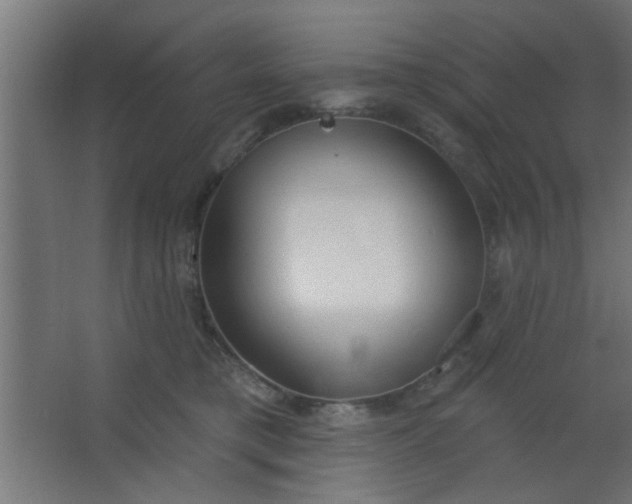 X0000067530421200604211848