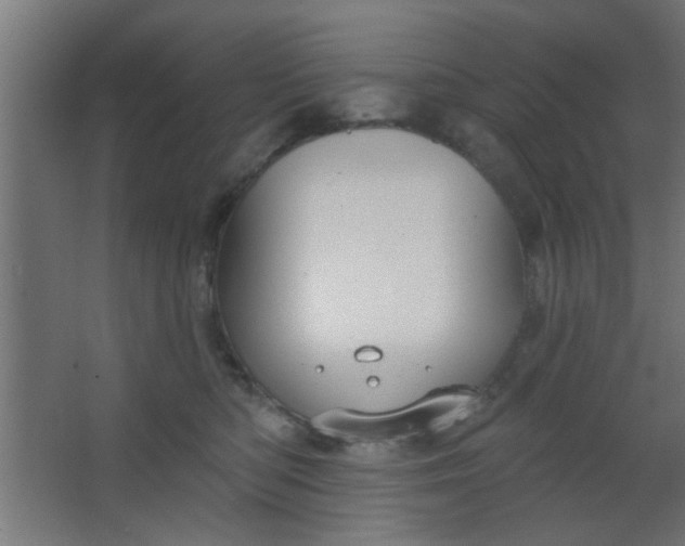 X0000067530422200604211848