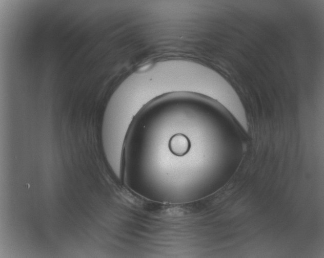 X0000067530423200604211848