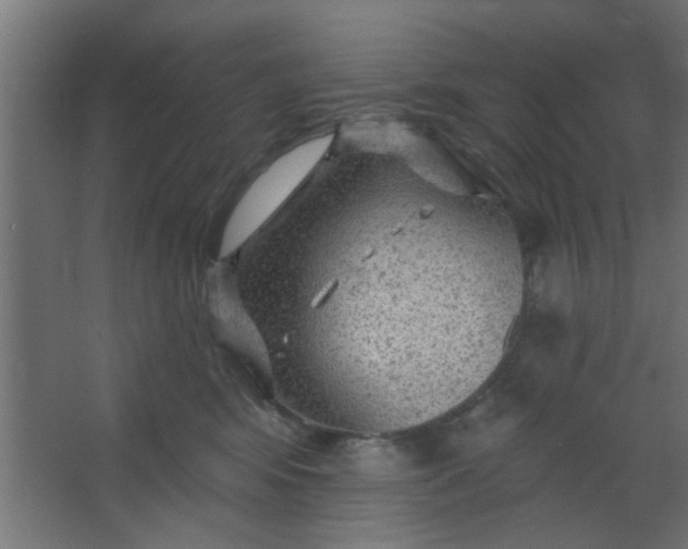 X0000067530424200604211848