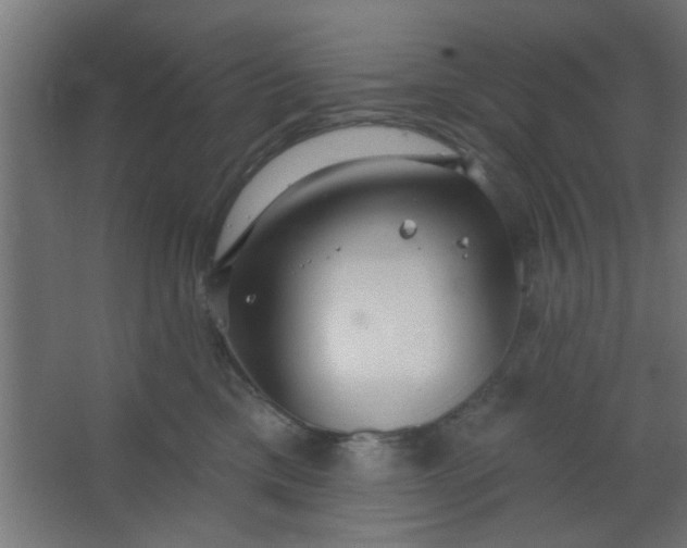 X0000067530425200604211848