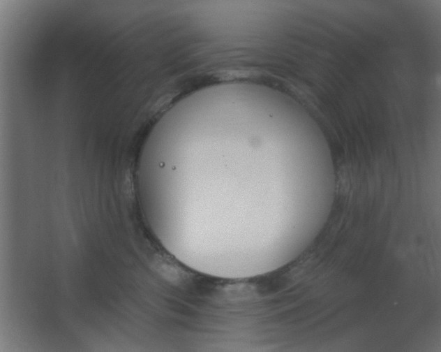 X0000067530426200604211848