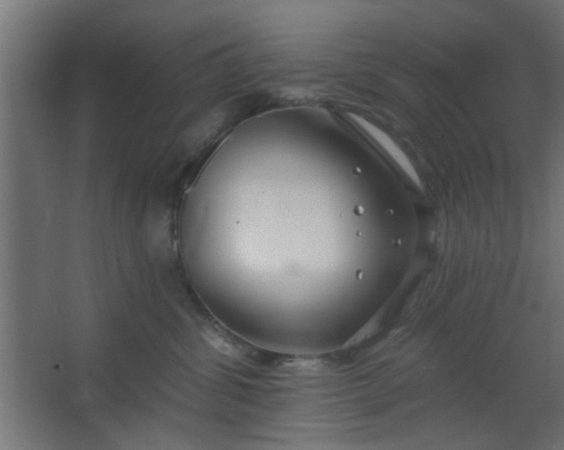 X0000067530428200604211848