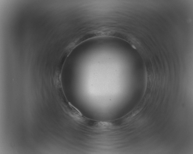 X0000067530429200604211848