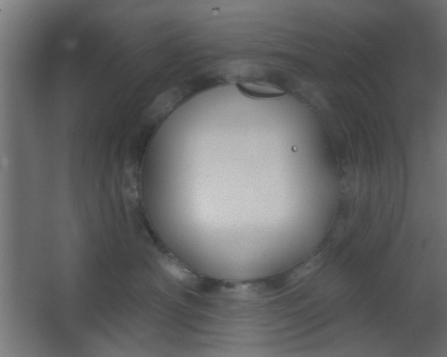 X0000067530430200604211848