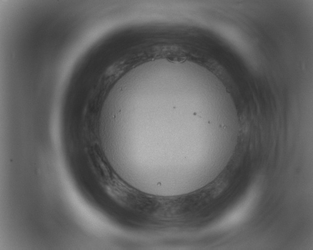 X0000067530431200604211848