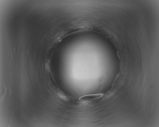 X0000067530432200604211848