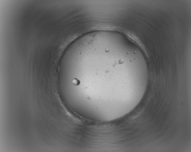 X0000067530433200604211847