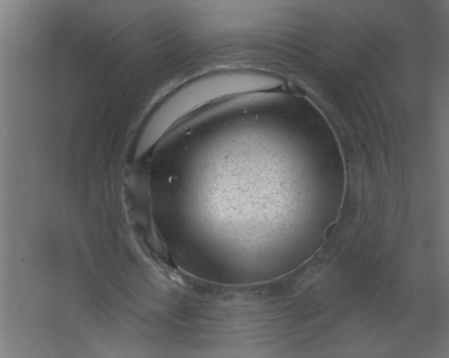 X0000067530434200604211847