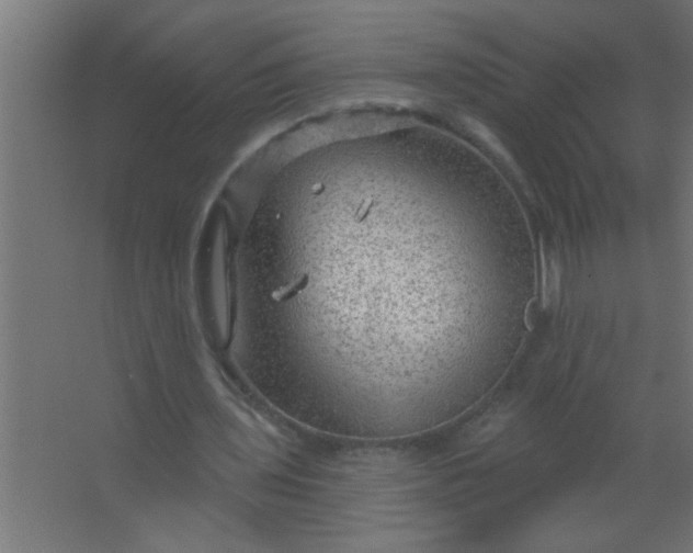 X0000067530435200604211847