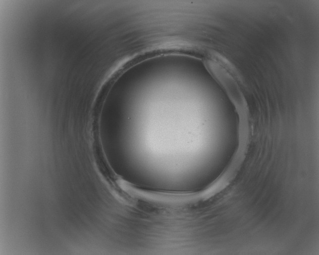 X0000067530436200604211847