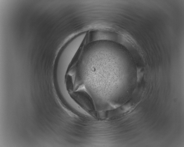 X0000067530438200604211848