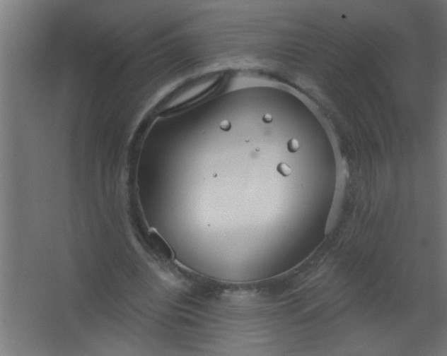 X0000067530440200604211848