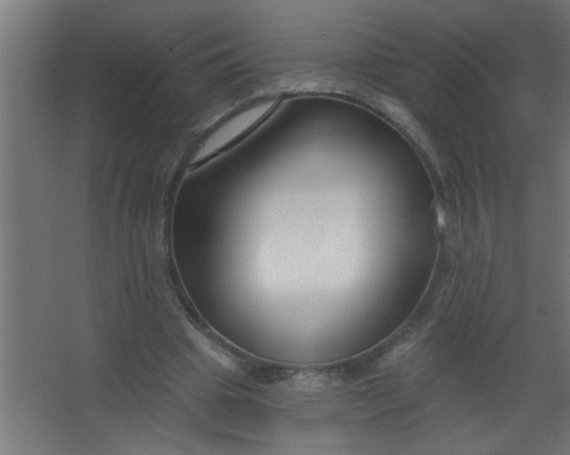 X0000067530441200604211848