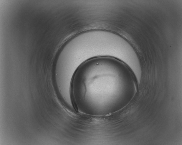 X0000067530442200604211848