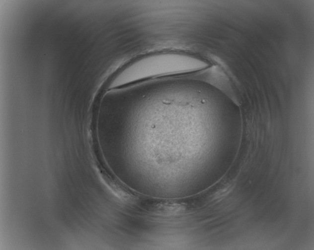 X0000067530443200604211848