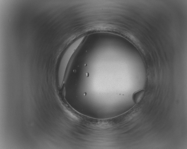 X0000067530445200604211848