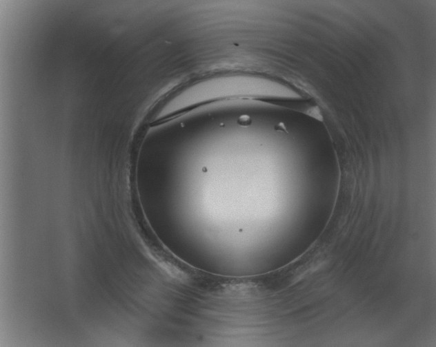 X0000067530446200604211848