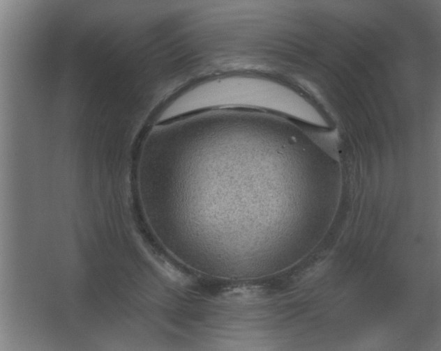 X0000067530447200604211848