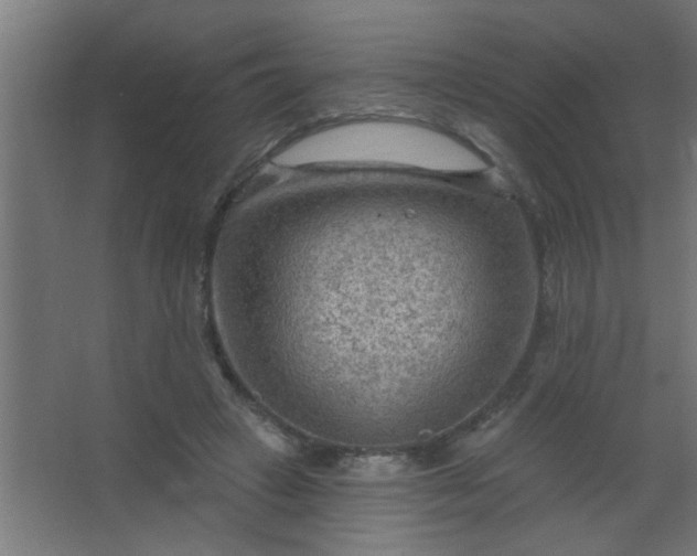 X0000067530449200604211848