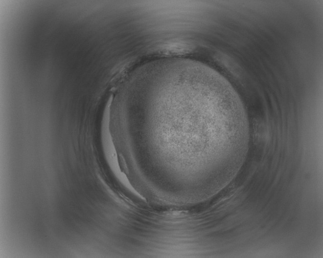 X0000067530451200604211848